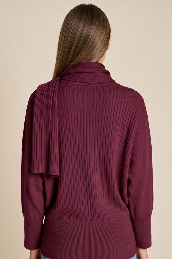 Pull Bordeaux Due Amanti ( Bayonne/Bordeau )