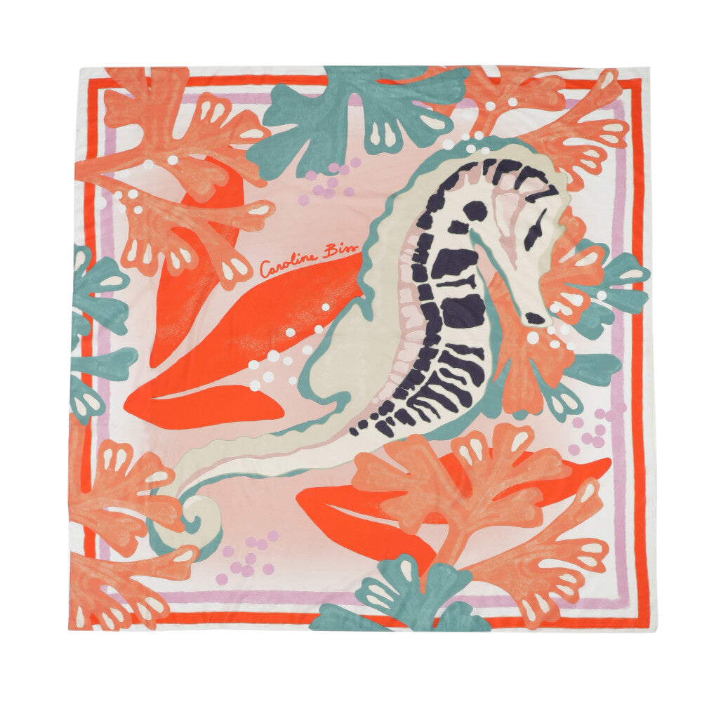 Sjaal Divers Caroline Biss ( 3014/79 )