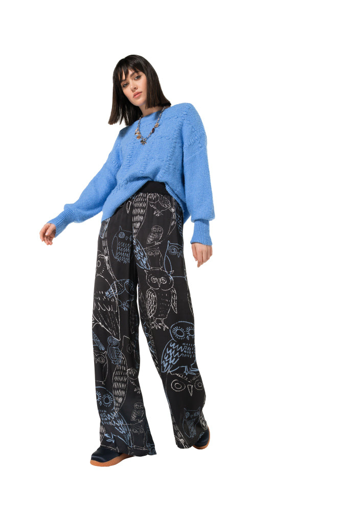 Pull Bleu pâle Caroline Biss ( 4237/27 )