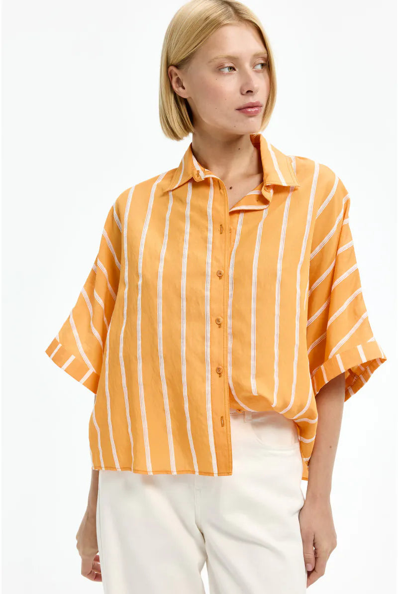 Bloes Oranje Xandres ( Hadalia/1475 )