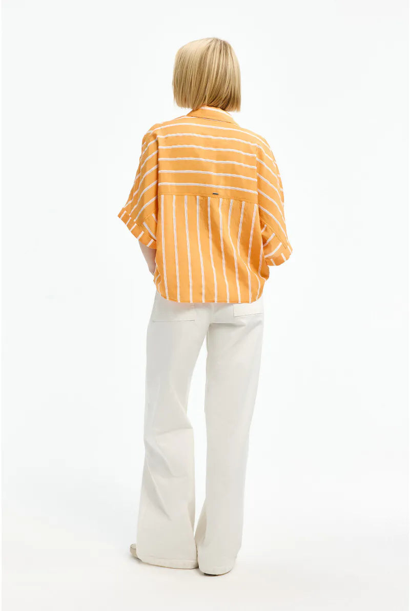 Bloes Oranje Xandres ( Hadalia/1475 )