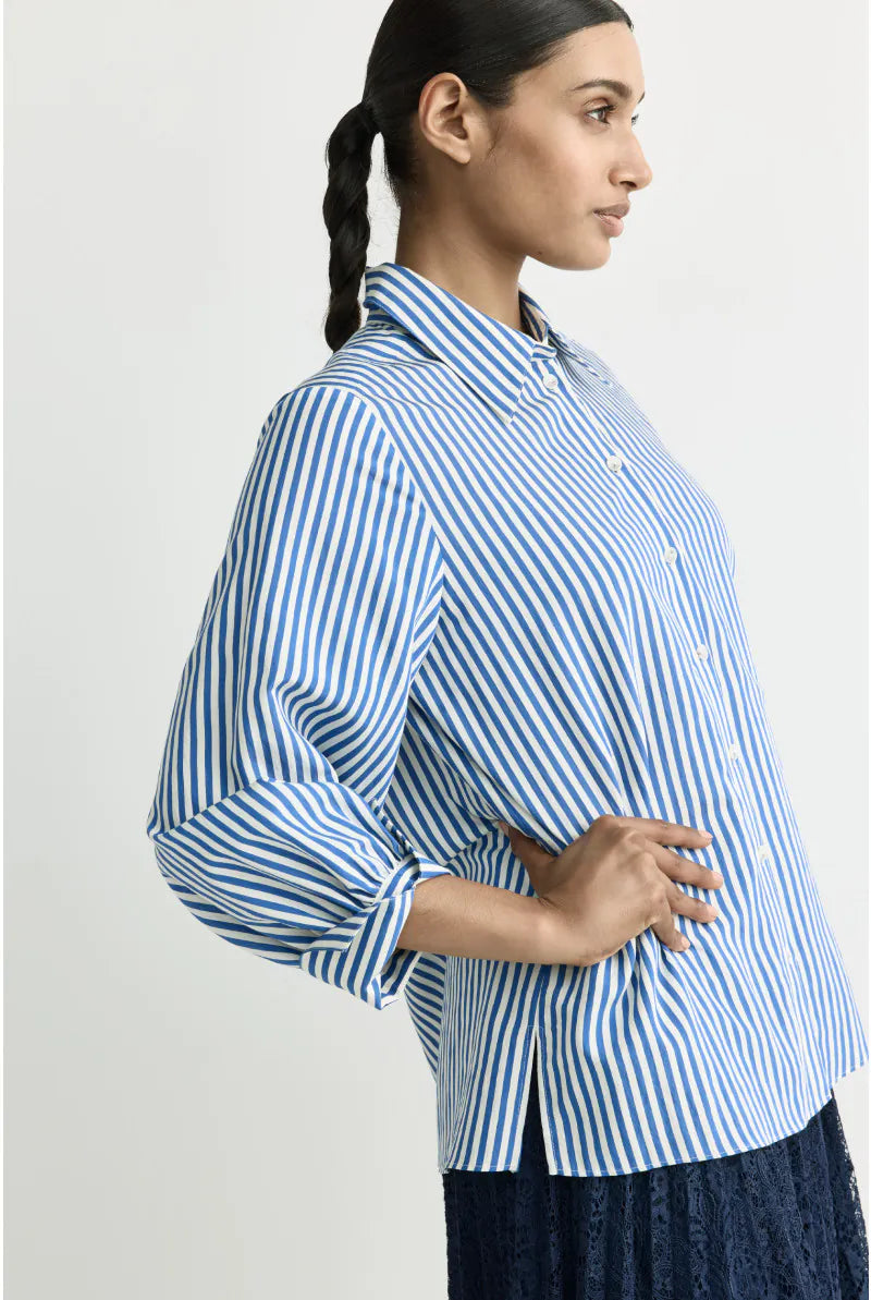 Bloes Blauw Xandres ( Heloisa/3345 )