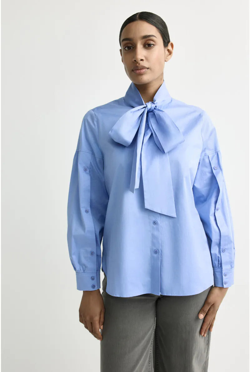 Bloes Bleekblauw Xandres ( Hermino/2480 )