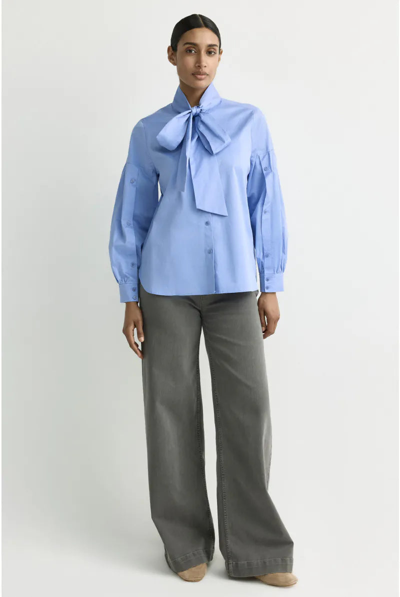 Bloes Bleekblauw Xandres ( Hermino/2480 )