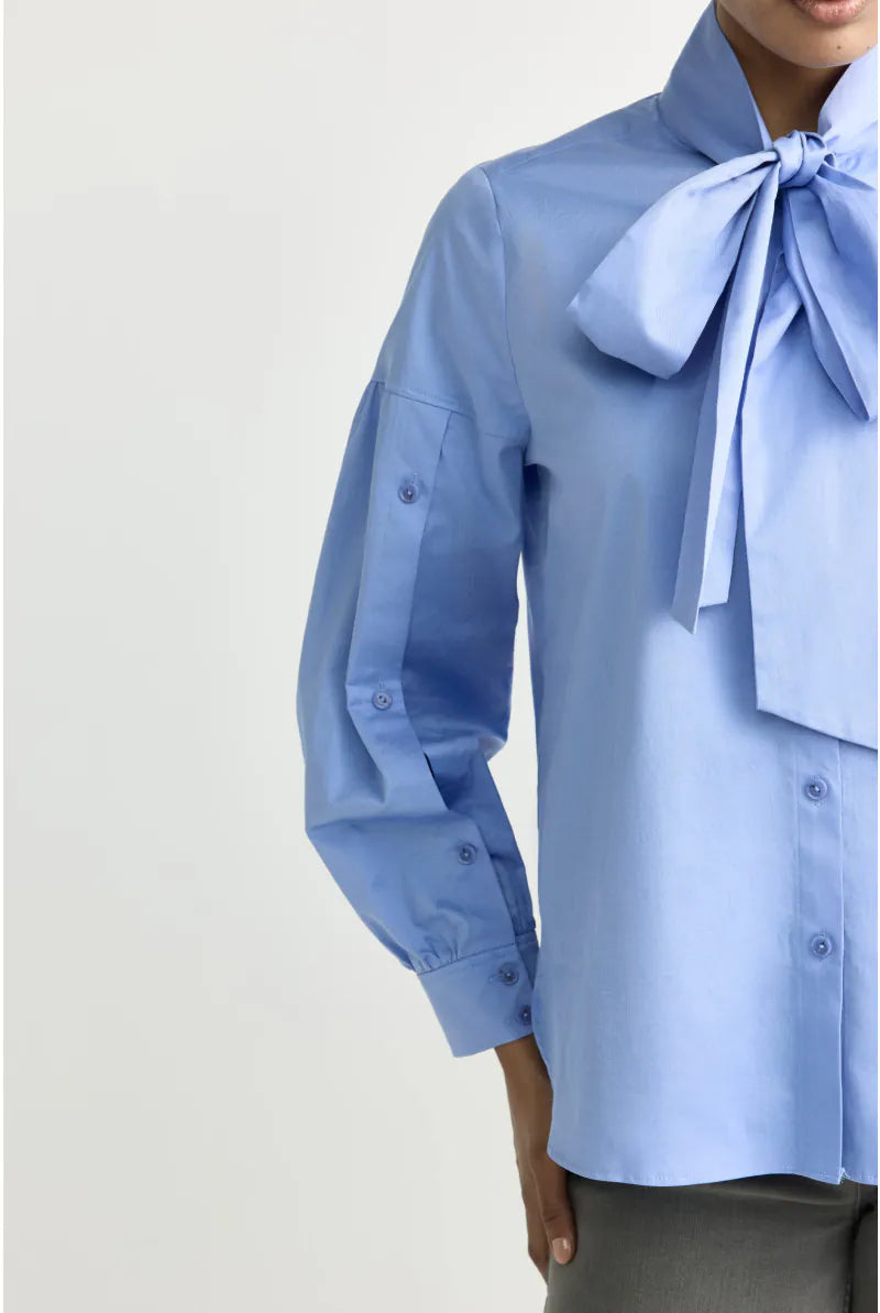 Bloes Bleekblauw Xandres ( Hermino/2480 )