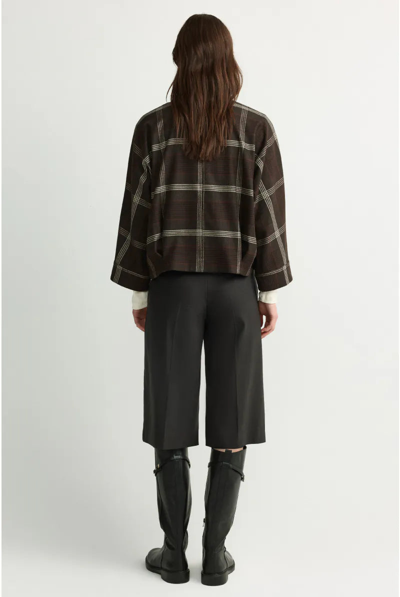 Bloes Bruin Xandres ( Hilou/3285 )