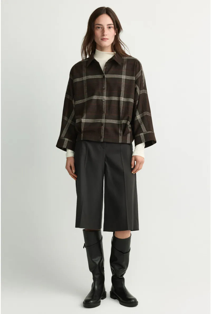 Bloes Bruin Xandres ( Hilou/3285 )