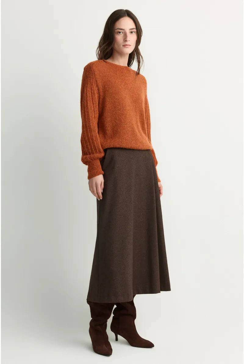 Rok Bruin Xandres ( Rasso/3286 )