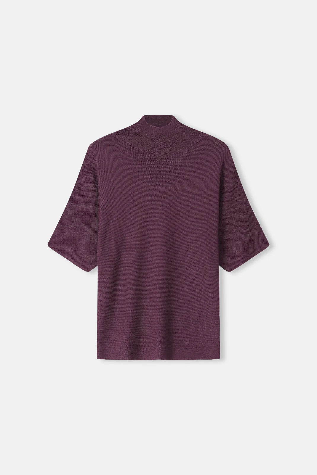 Pull Aubergine Gigue ( Boucle 825/2463 )