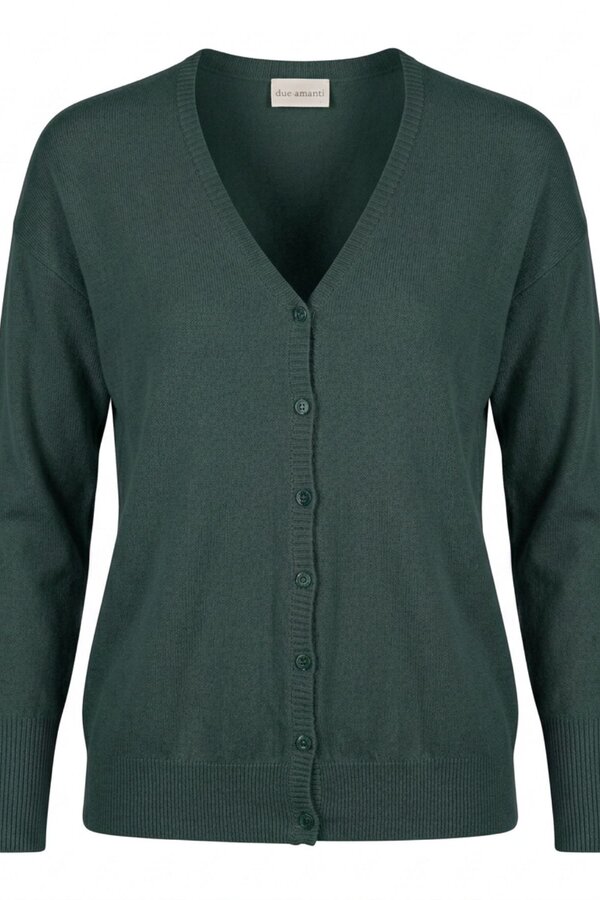 Giletpull Groen Due Amanti ( Juhel/Dark Green )