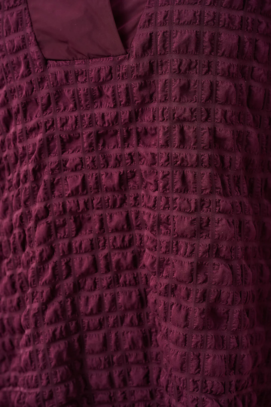 Bloes Pruimkleur Ribkoff ( 263095/4539 )