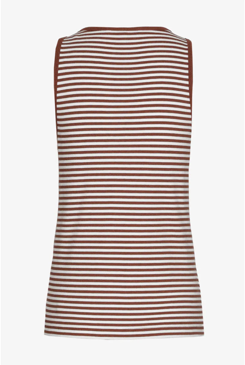 Top Bruin Xandres ( Fernande/1715 )