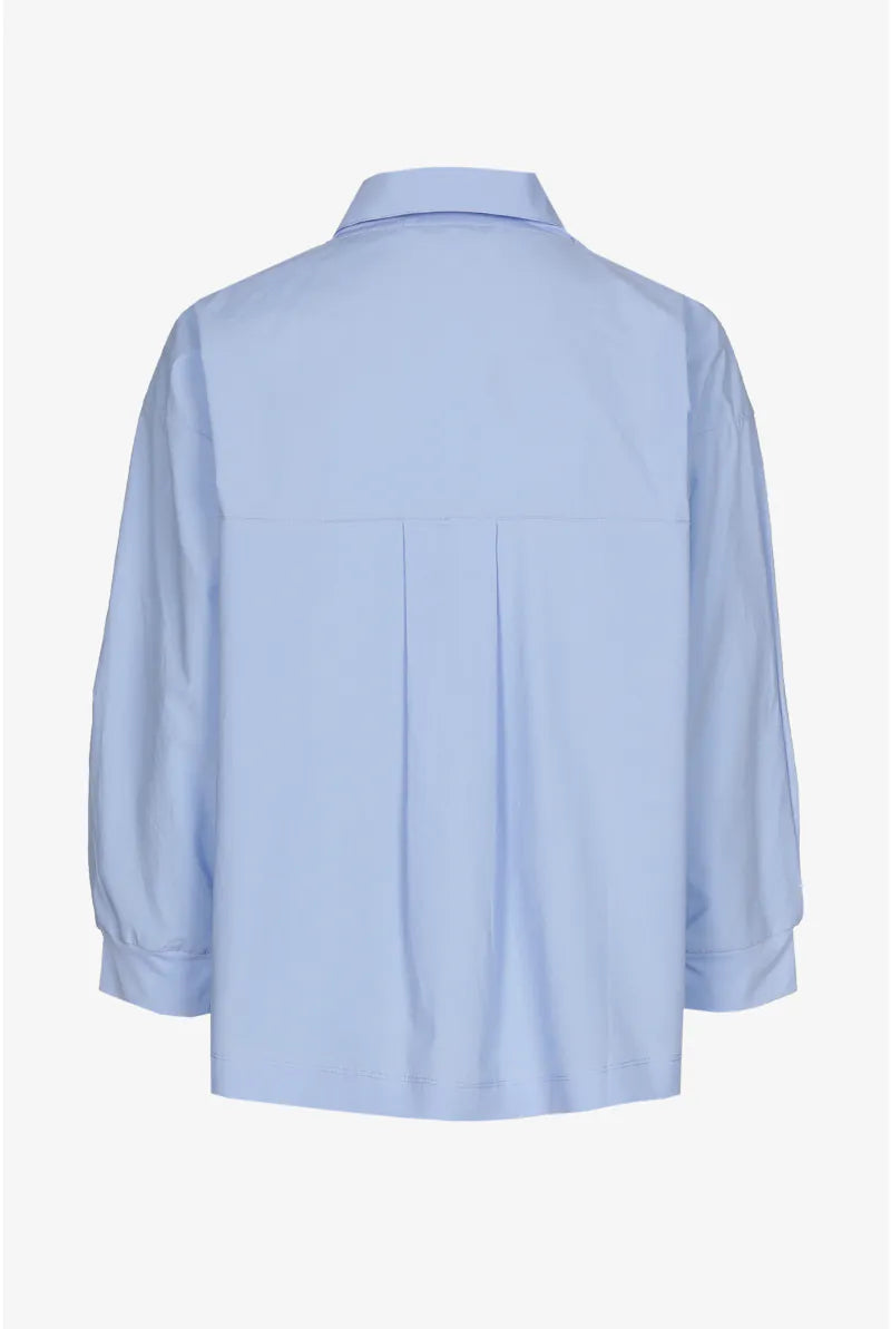 Bloes Bleekblauw Xandres ( Finola/2480 )