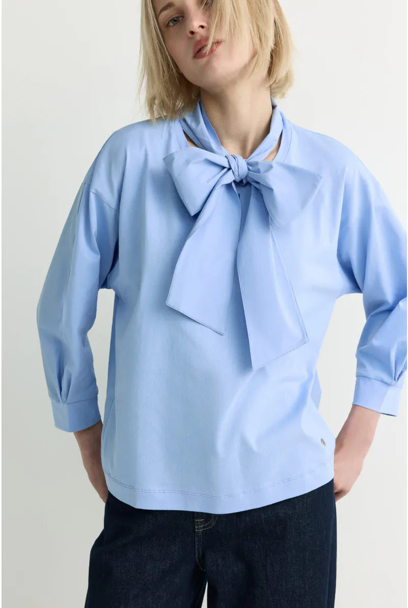Bloes Bleekblauw Xandres ( Finola/2480 )