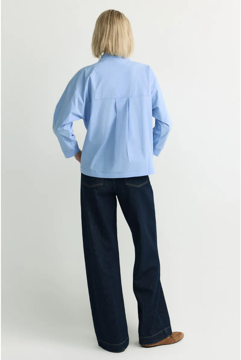 Bloes Bleekblauw Xandres ( Finola/2480 )