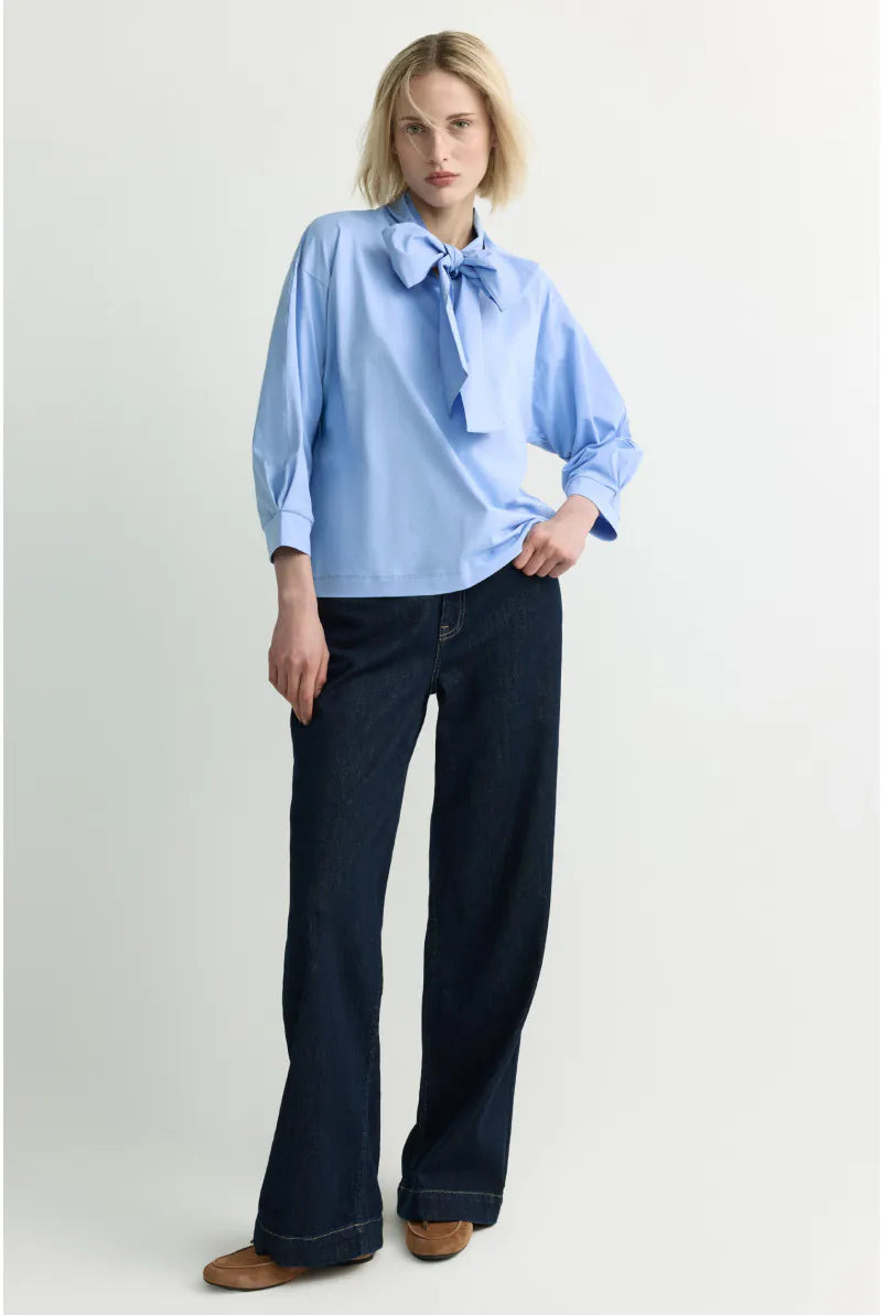 Bloes Bleekblauw Xandres ( Finola/2480 )