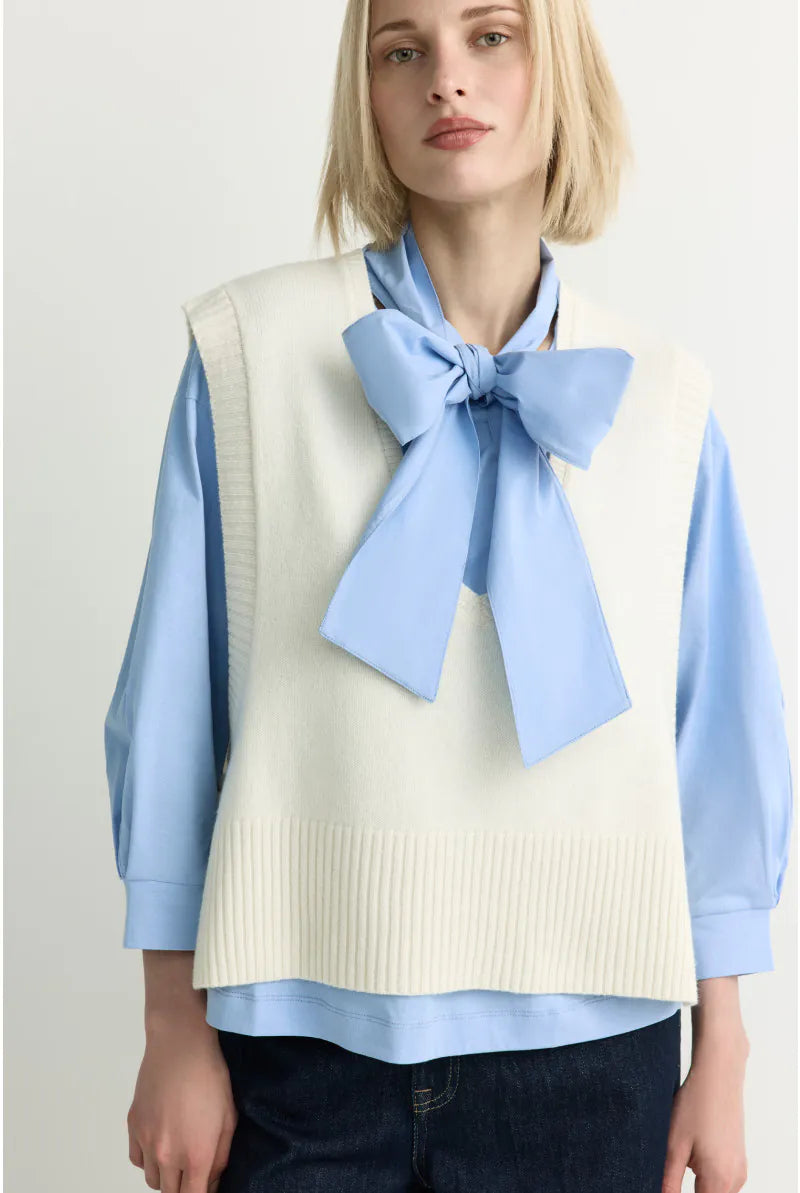 Bloes Bleekblauw Xandres ( Finola/2480 )