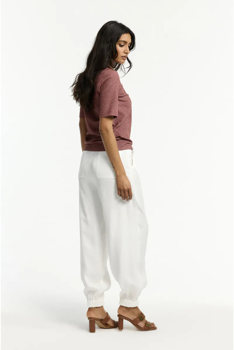 Pull Bruin Xandres ( Hirra/0981 )