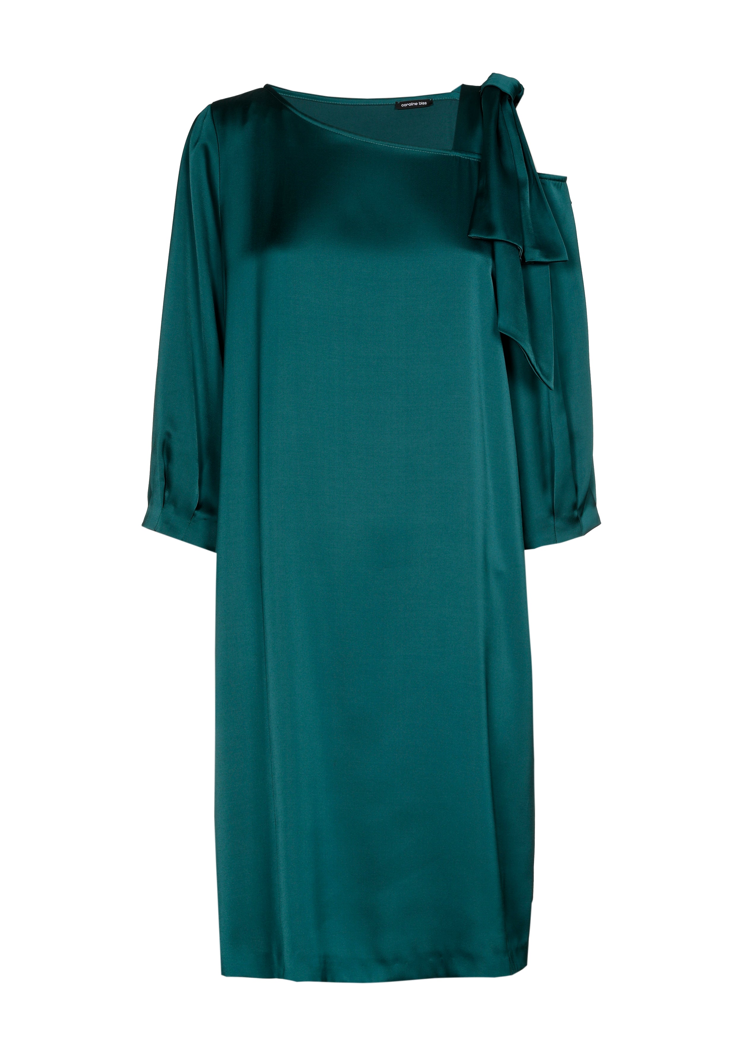 Robe Verte Caroline Biss ( 4147/60 )