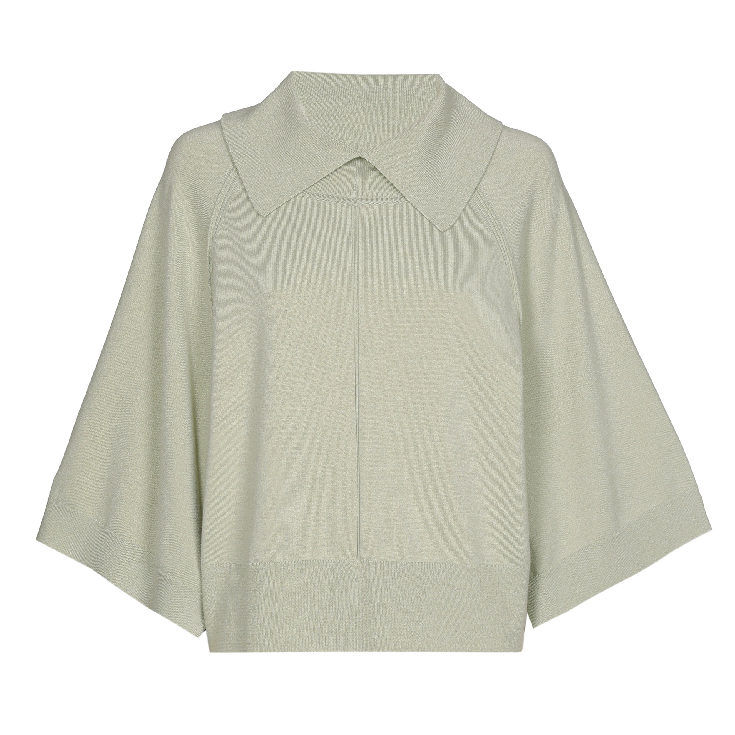 Pull Groen Caroline Biss ( 4249/63 )