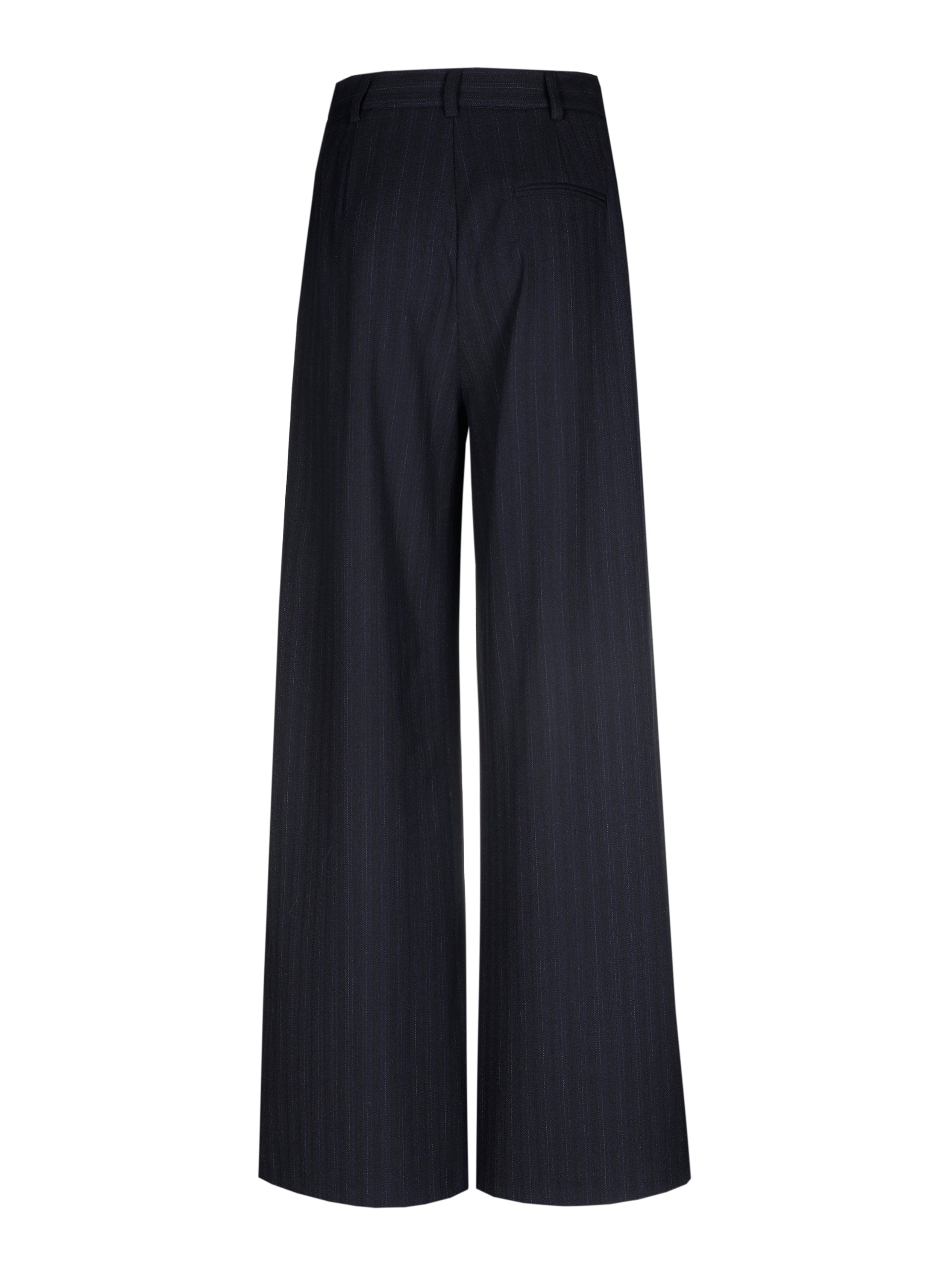 Broek Blauw Caroline Biss ( 4569/20 )