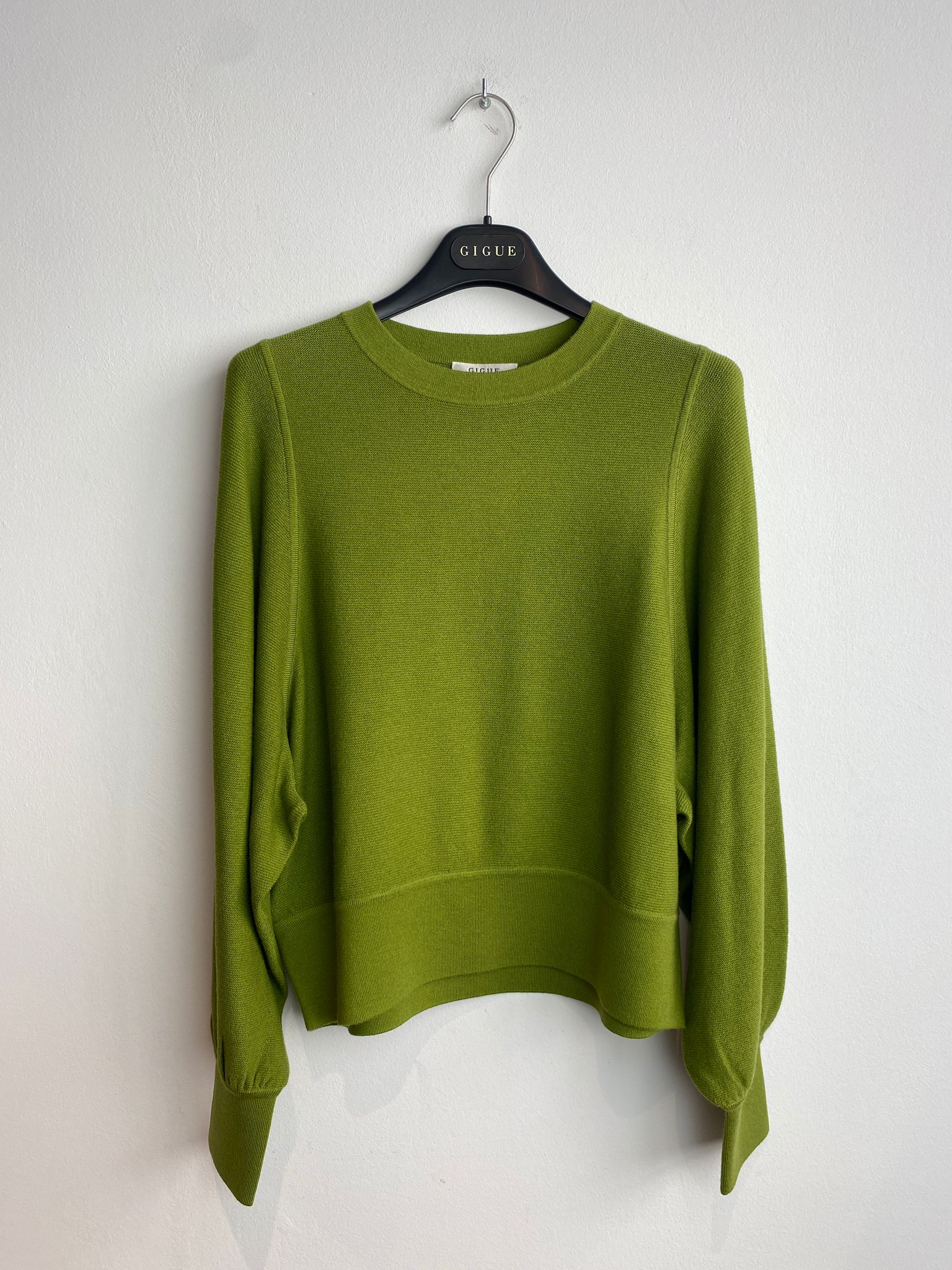 Pull Gigue Verte ( Levian 821/543 )