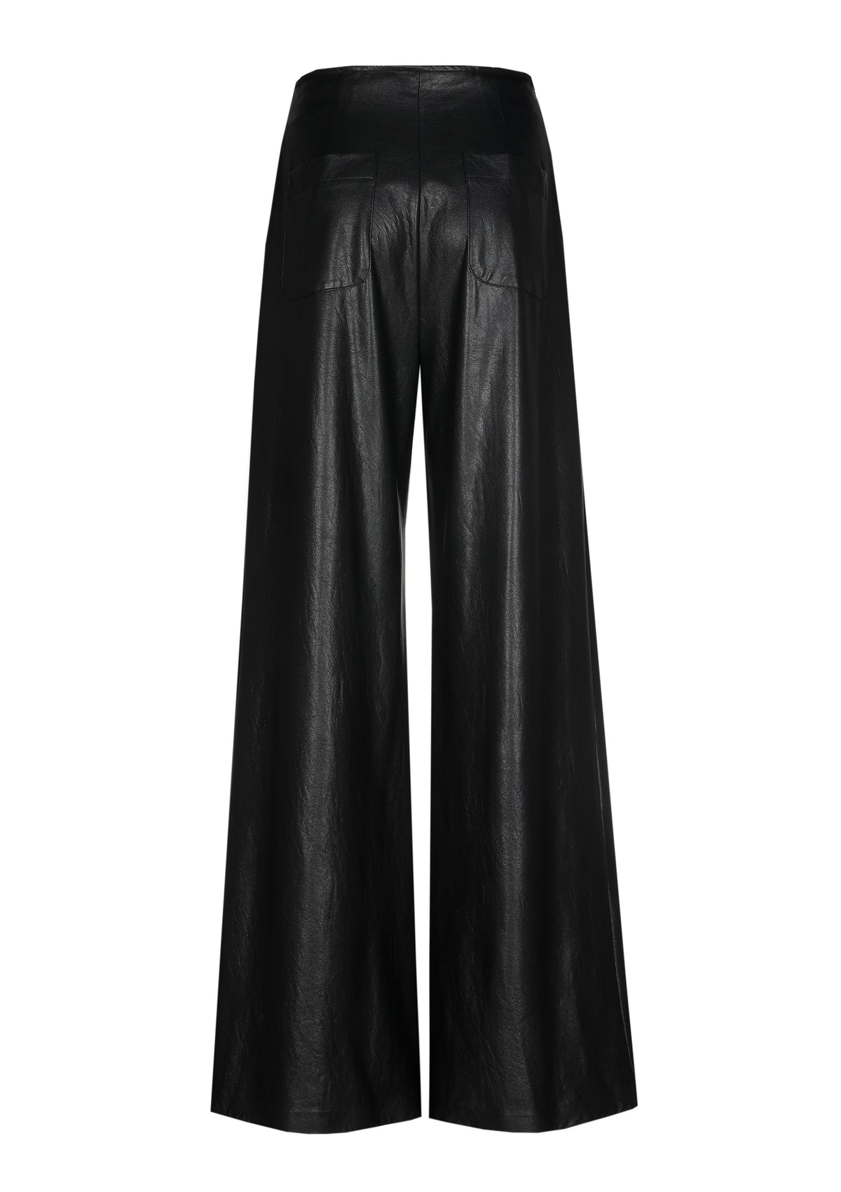 Broek Zwart Caroline Biss ( 6504/10 )