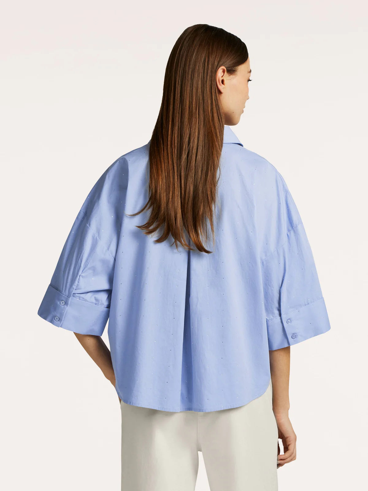 Bloes Bleekblauw Beaumont ( Ezra/5470 )