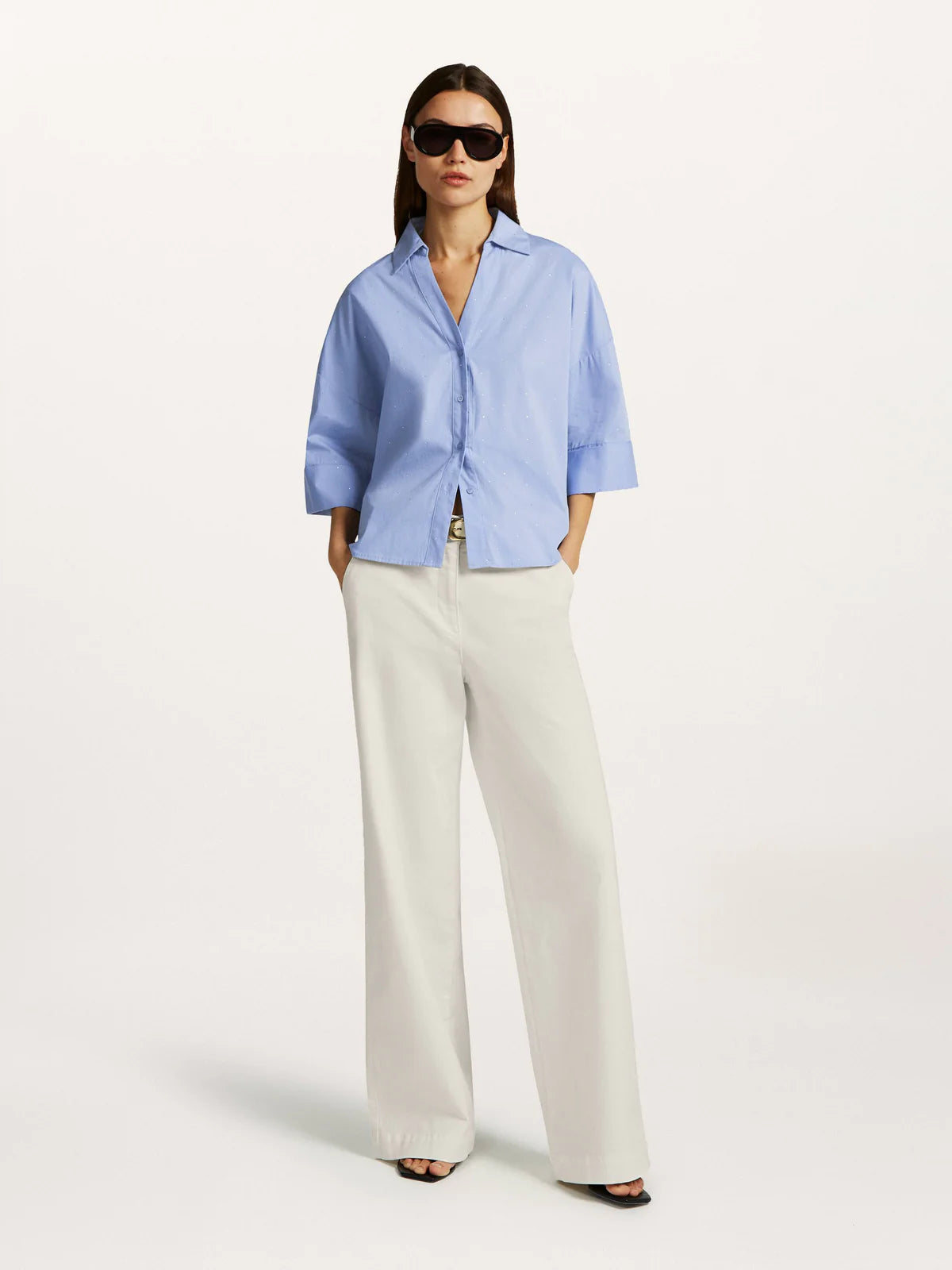 Bloes Bleekblauw Beaumont ( Ezra/5470 )