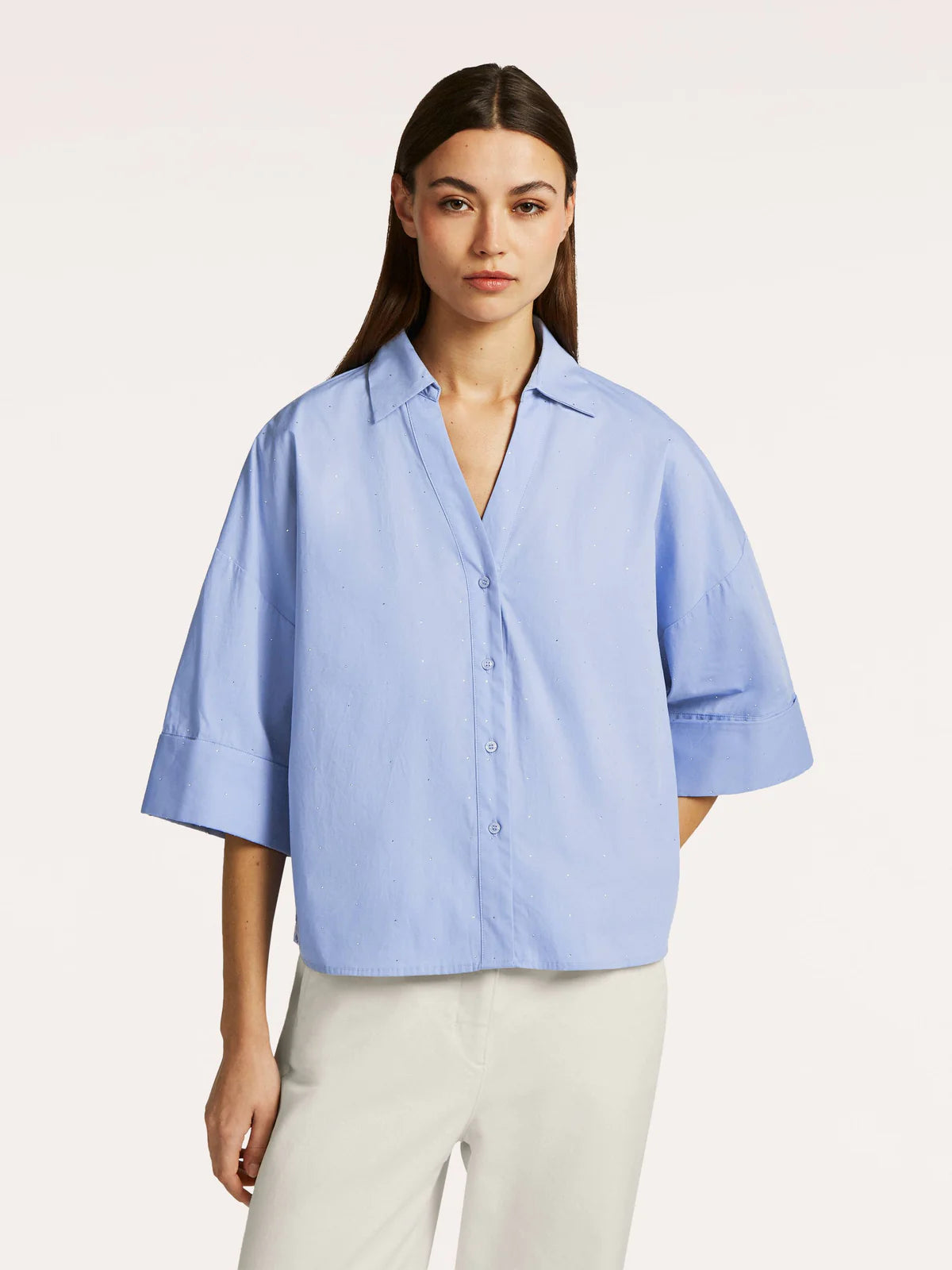 Bloes Bleekblauw Beaumont ( Ezra/5470 )