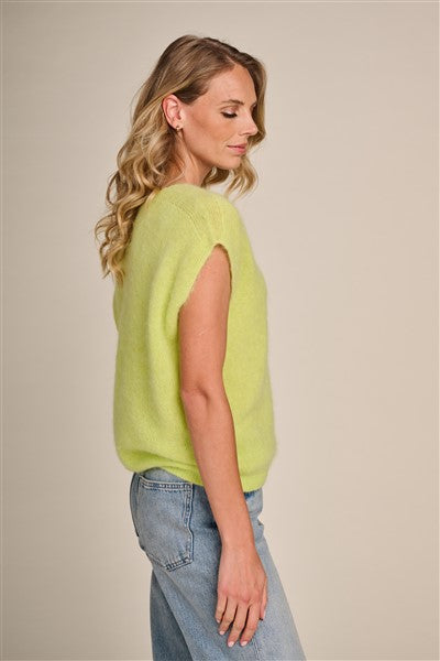 Pull Limoen Due Amanti ( Fort/Acid Grass )