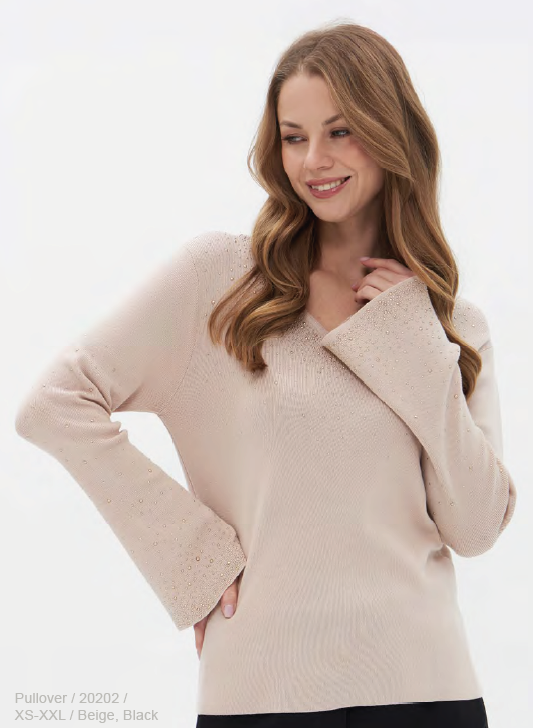 Pull Beige Passioni ( 20202/Bei )