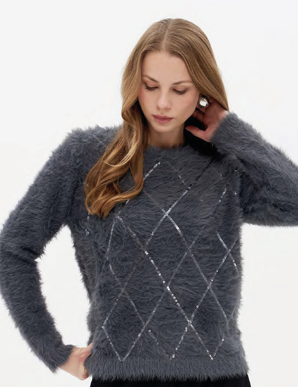 Pull Grijs Passioni ( 20193/Gri )