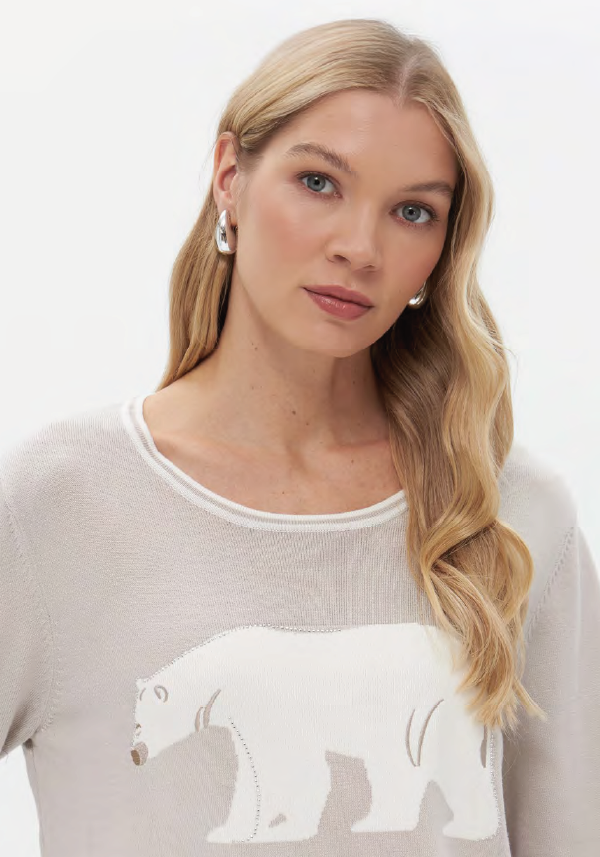 Pull Beige Passioni ( 20086/Bei )