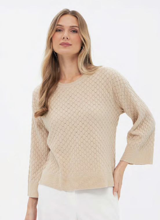 Pull Beige Passioni ( 20063/Bei )