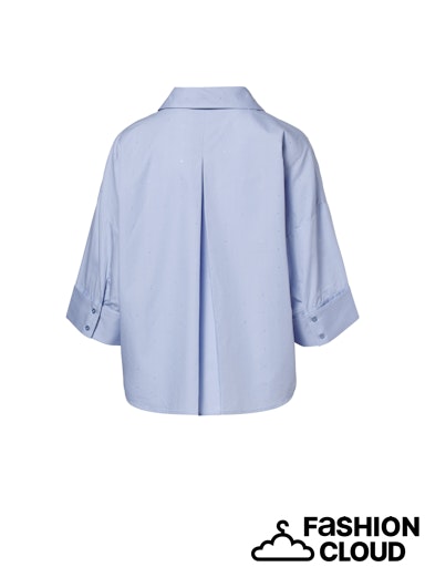 Bloes Bleekblauw Beaumont ( Ezra/5470 )