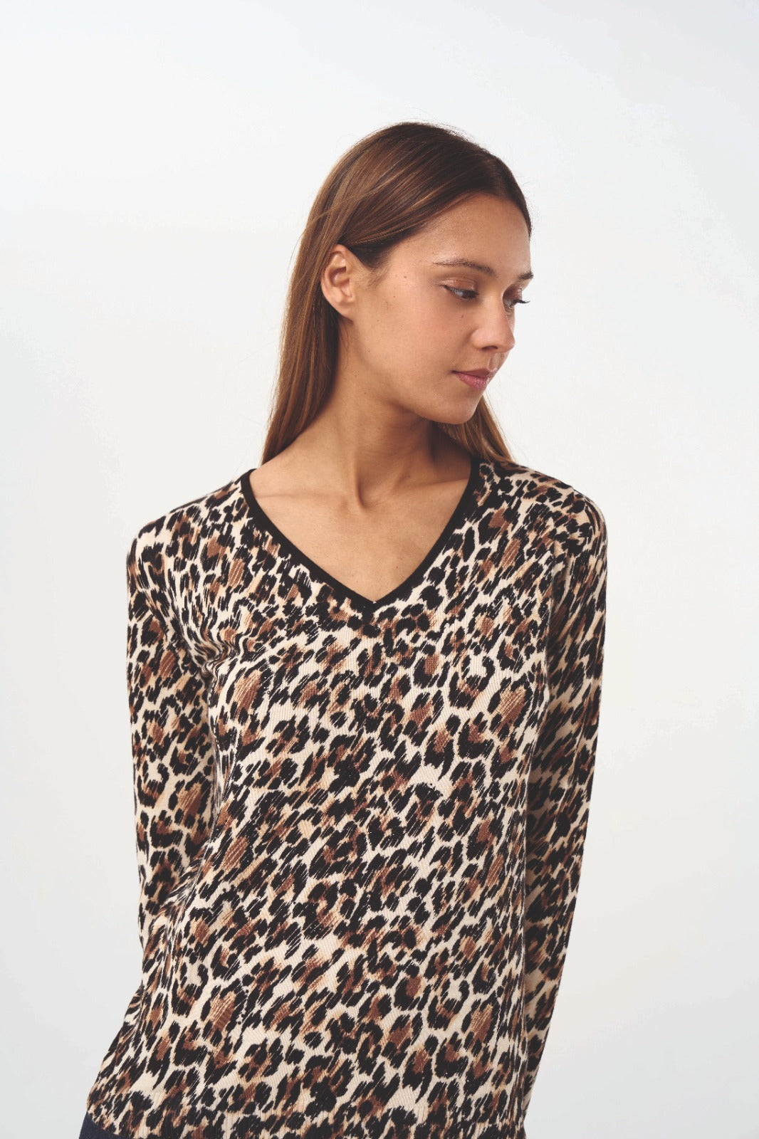 Pull Bruin Leo & Ugo ( Dw500 )
