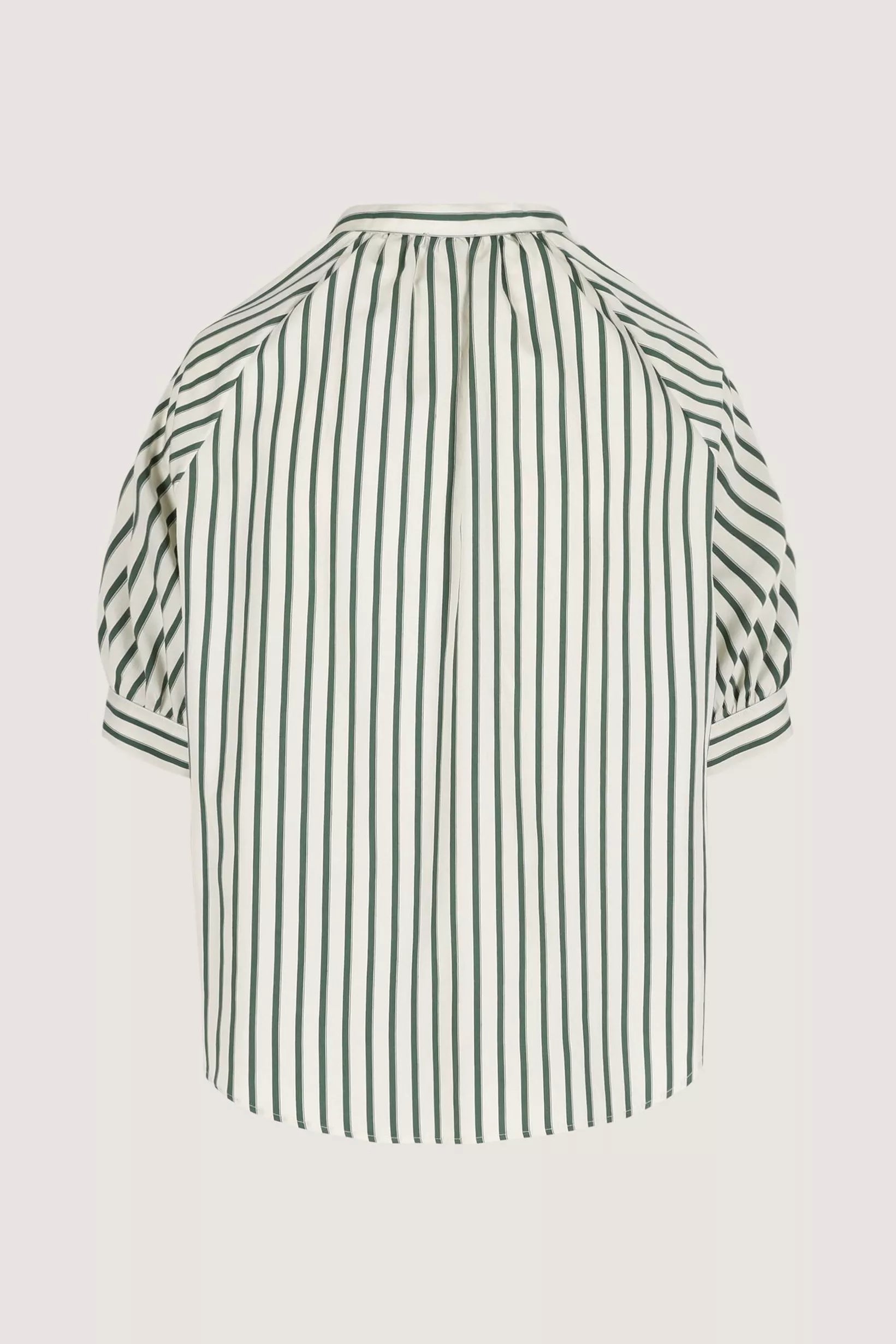 Bloes Groen Mayerline ( Jilka 5058/655 )